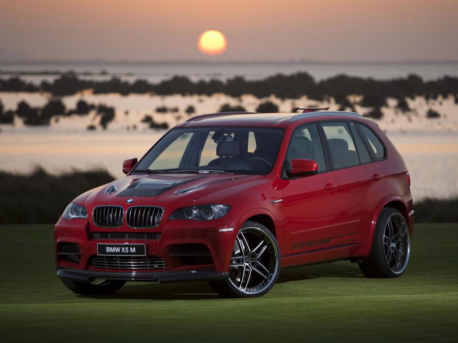  BMW ACS5 Falcon Sport by AC Schnitzer 2010 года  (фото 7 из 7)